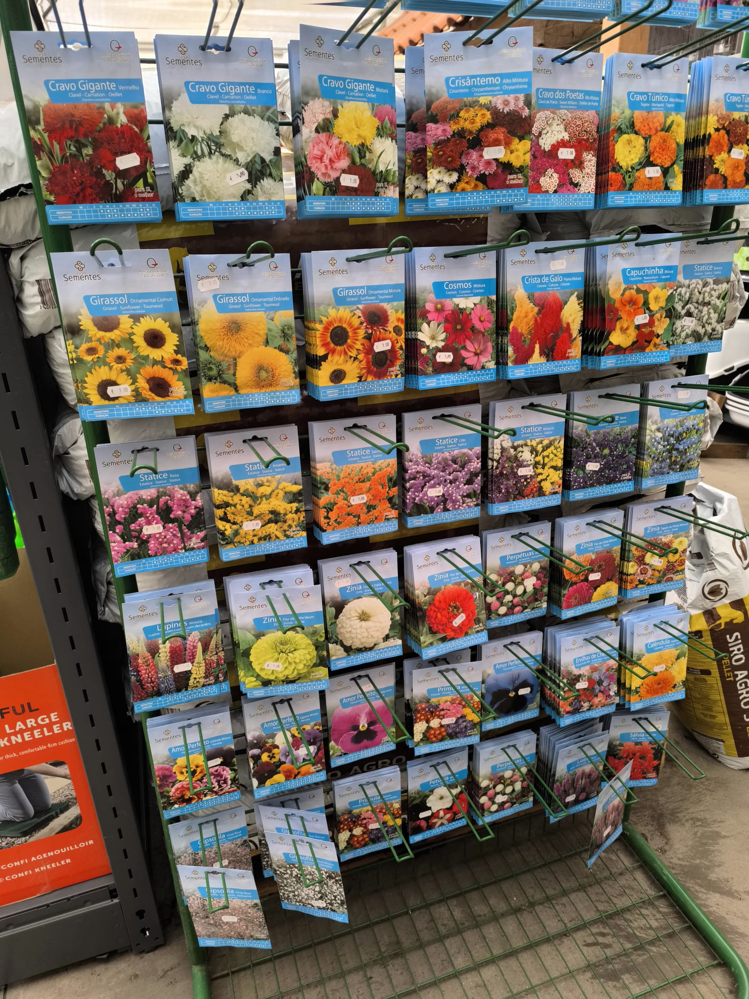 Sementes de Flores Ornamentais (Saquetas Individuais)